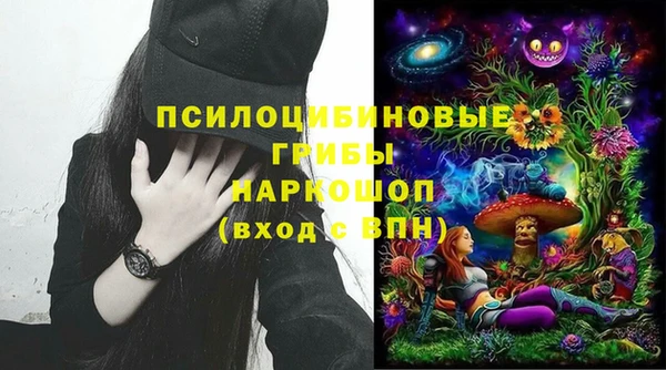СК Верея