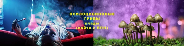 гидропоника Верхний Тагил
