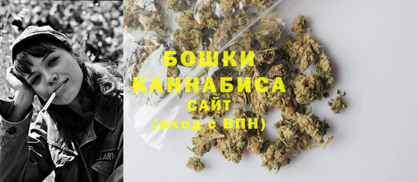 СК Верея